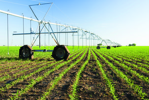 Africa-agriculture-feild