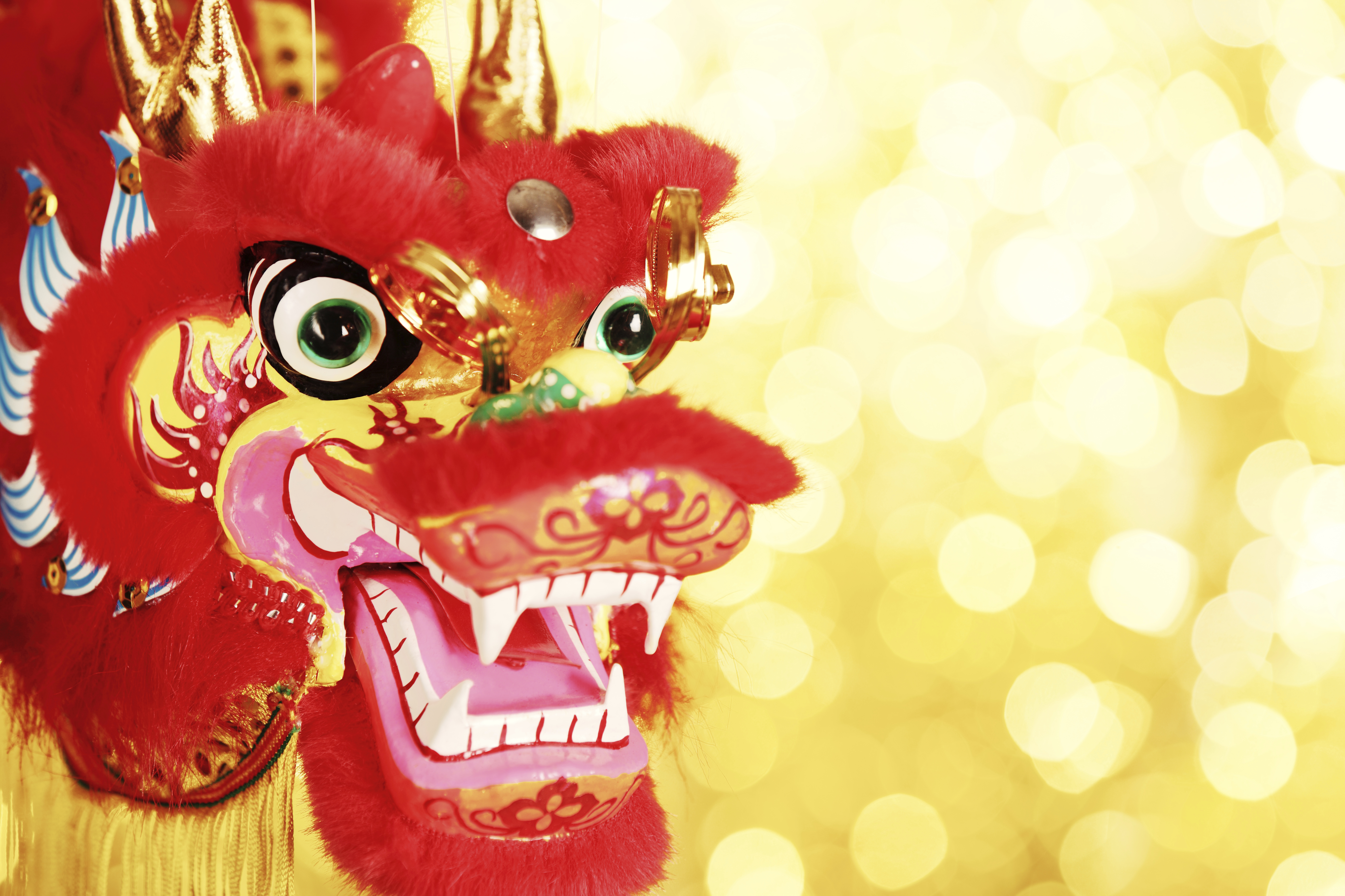 Chinese New Year Decoration