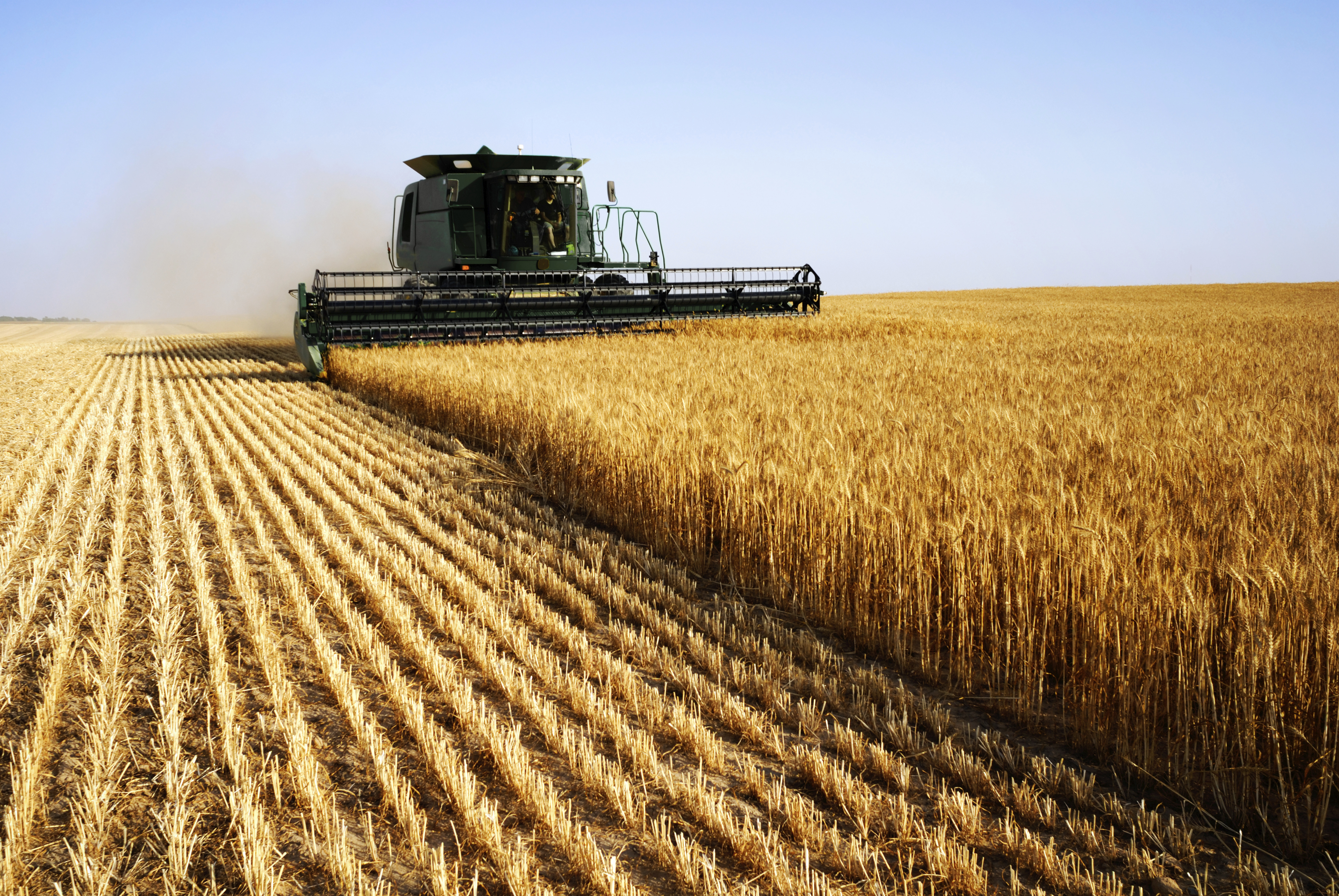 Combine harvester crop agriculture