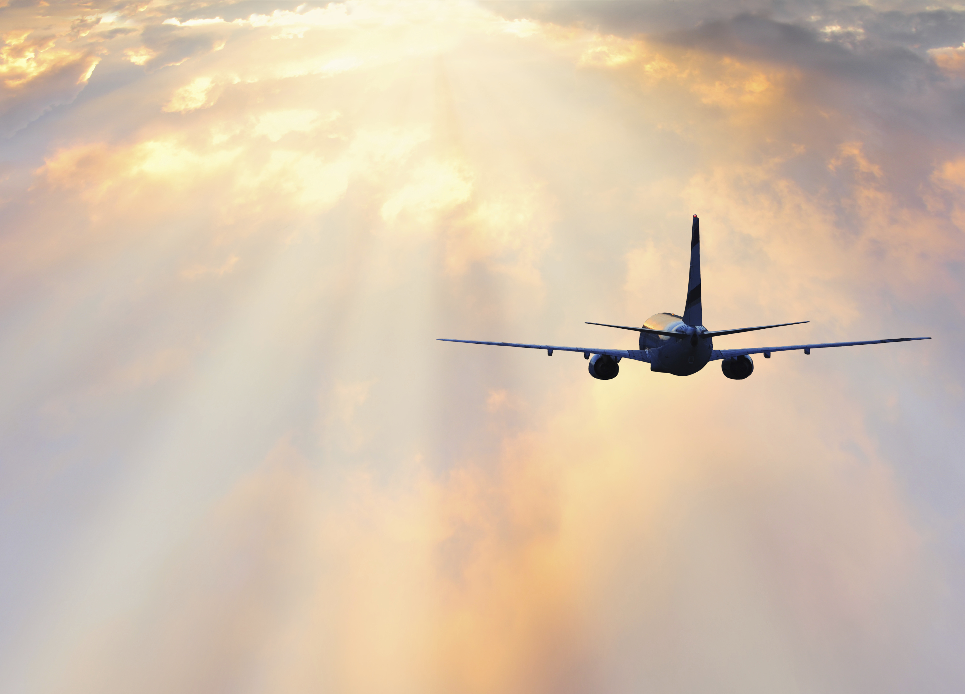 Commercial Airplane Flying