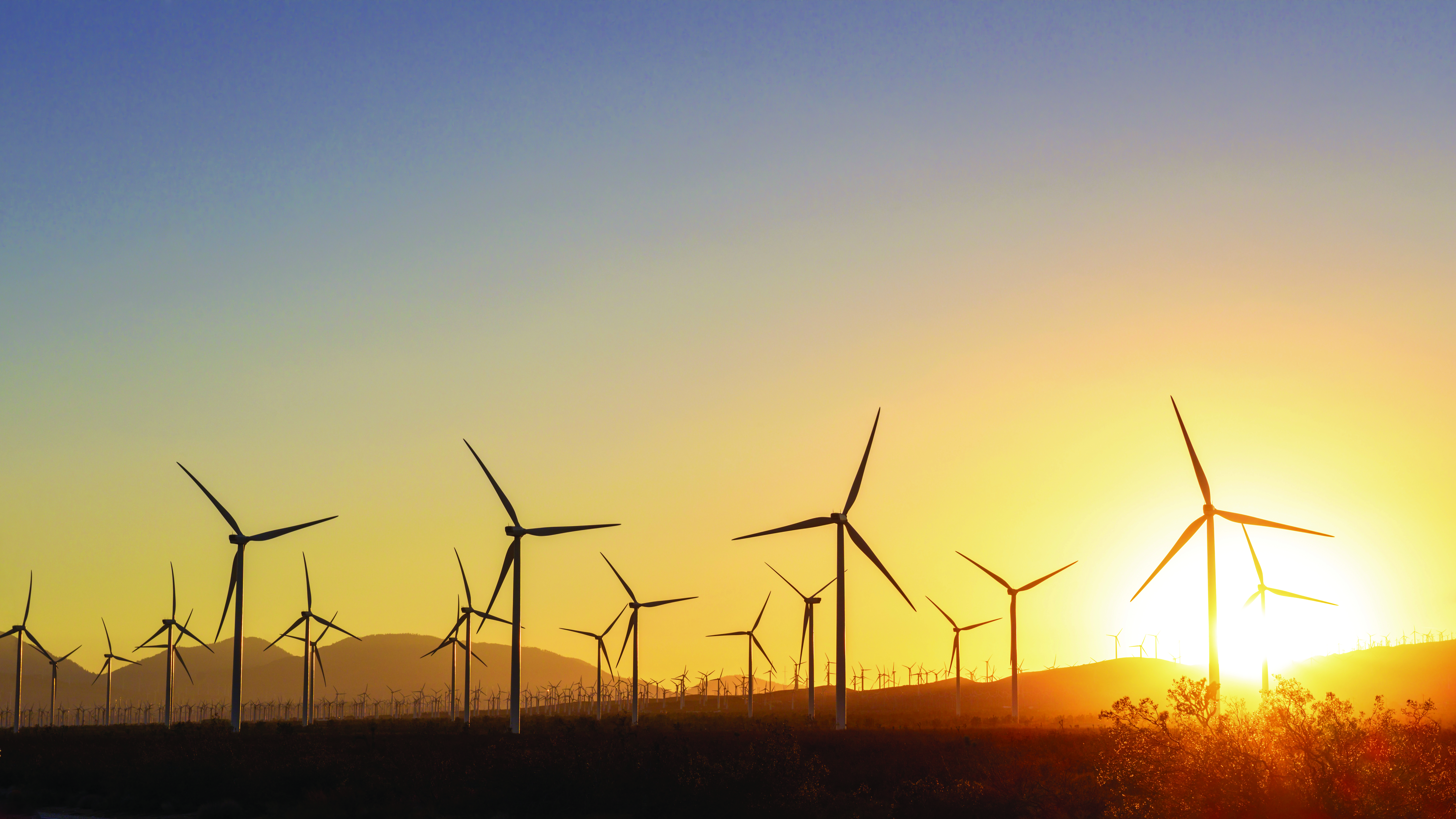 Wind turbines sunset