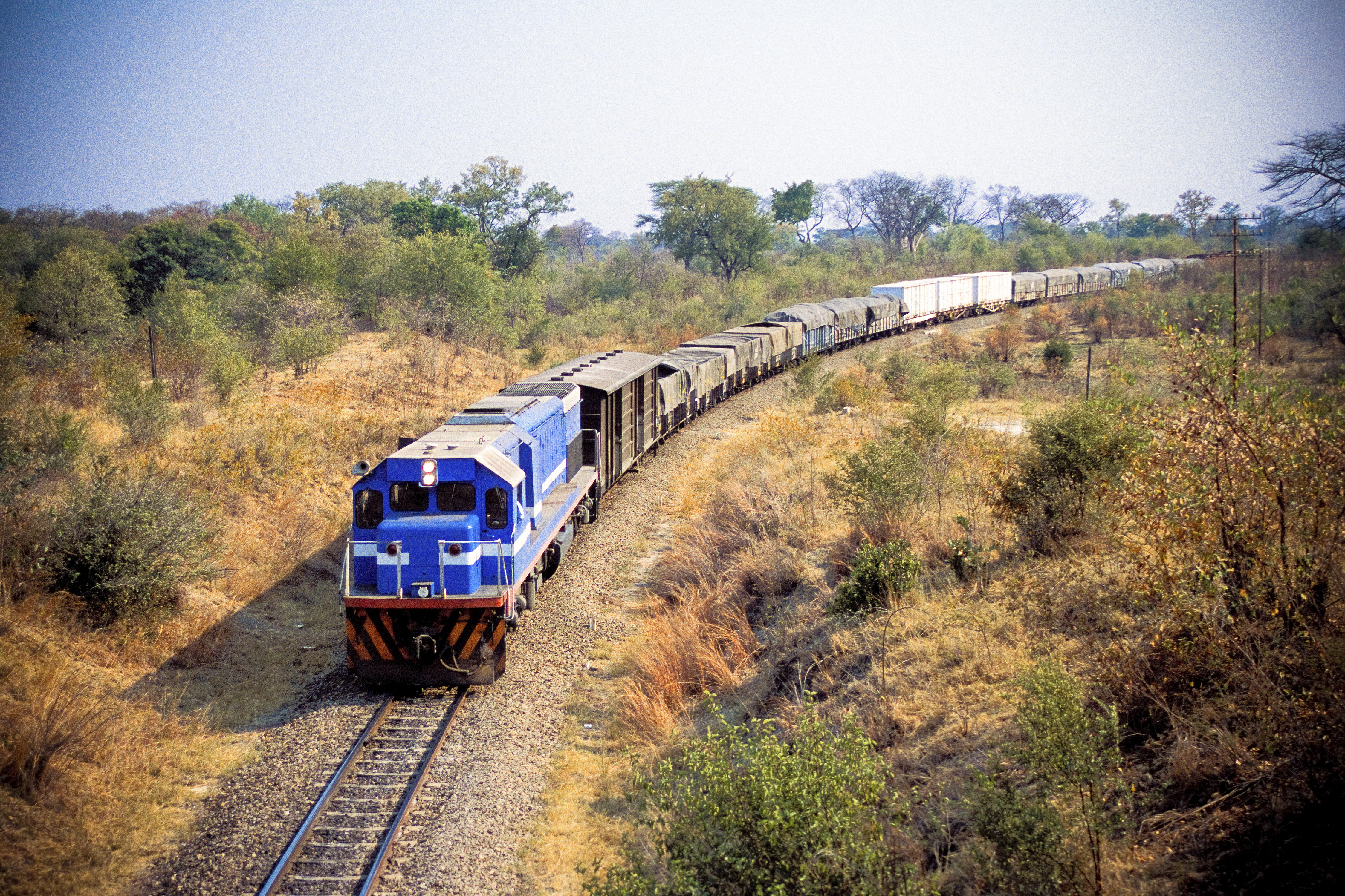 Africa Cargo Train