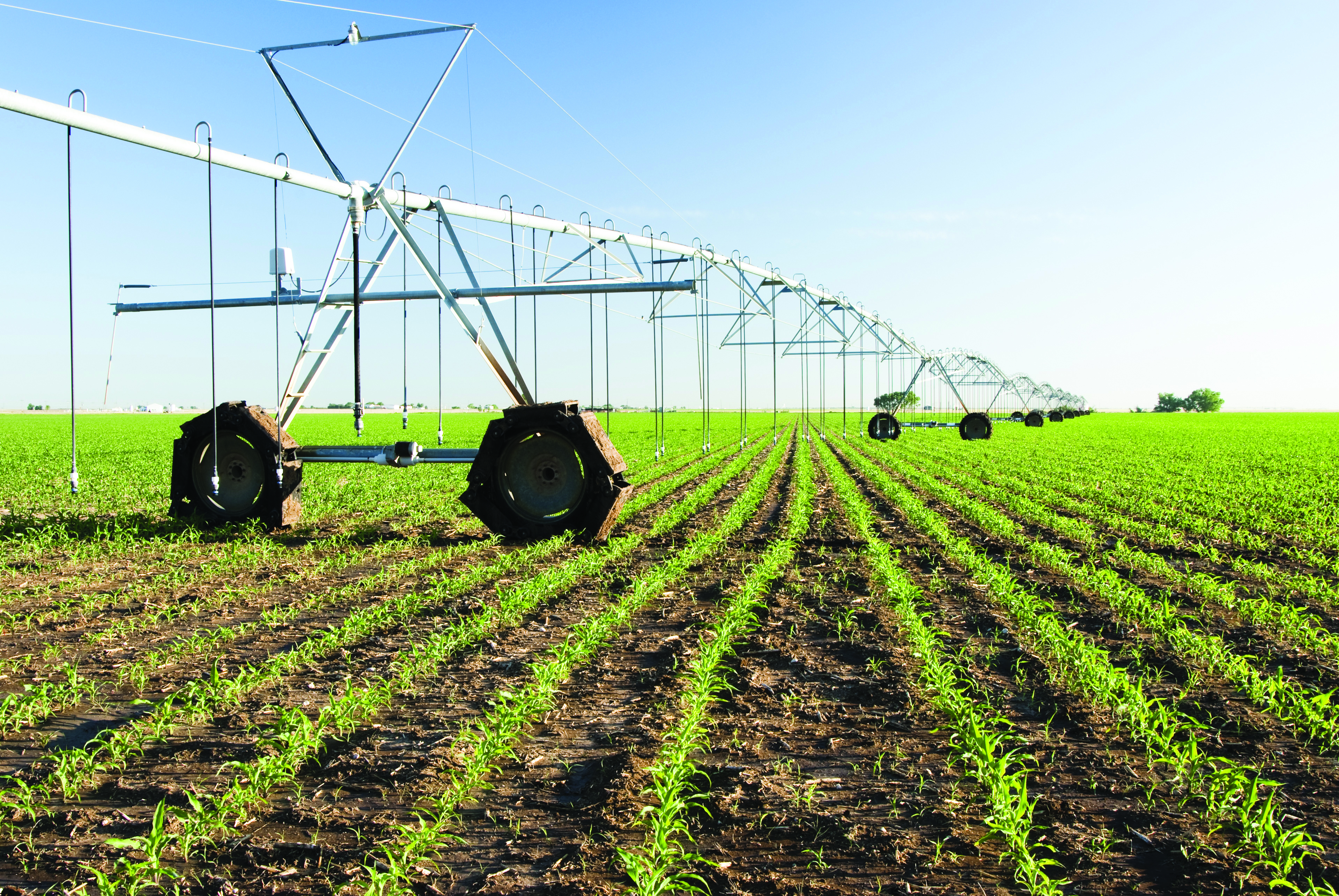 Africa agriculture farming field