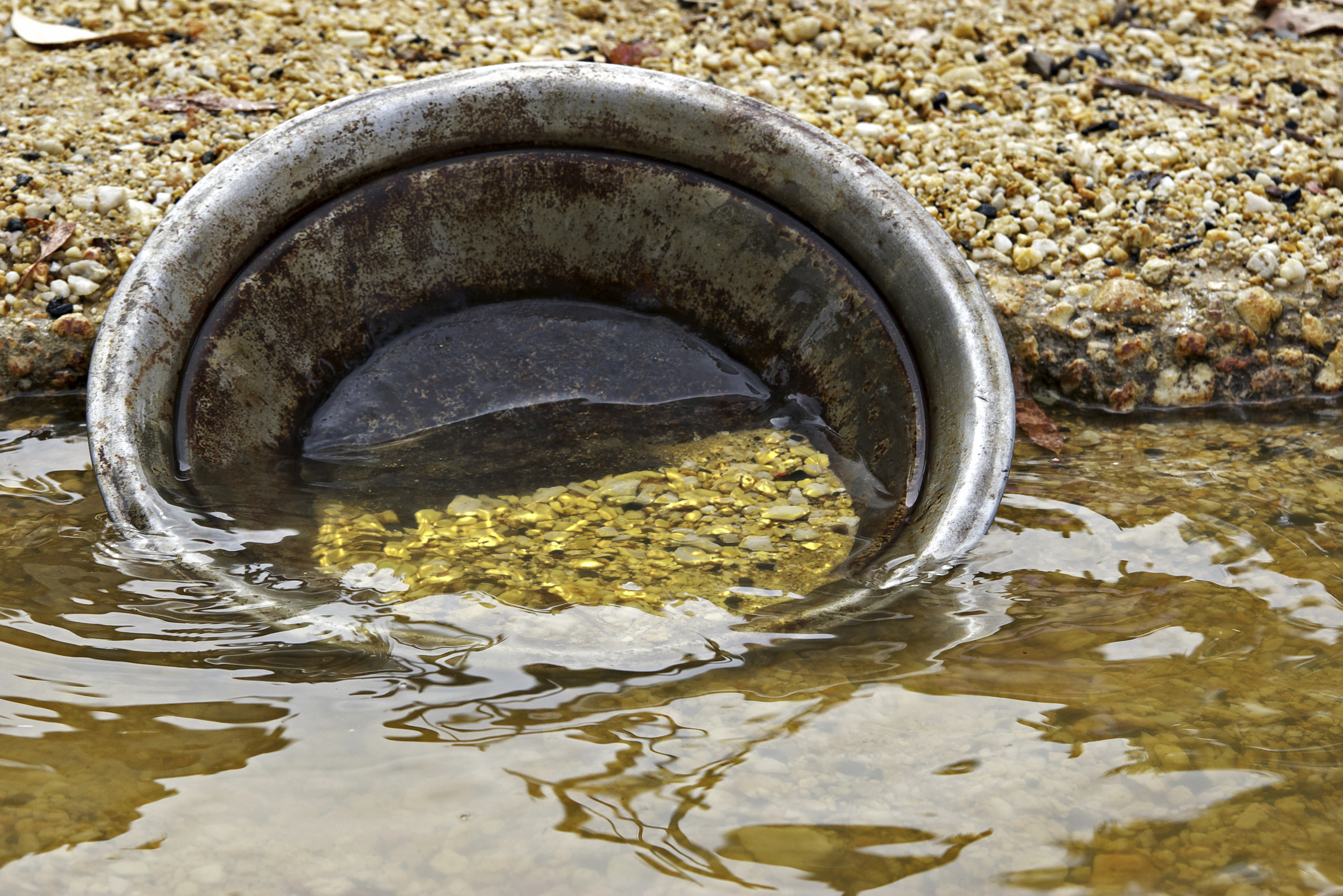 gold pan with gold nuggets