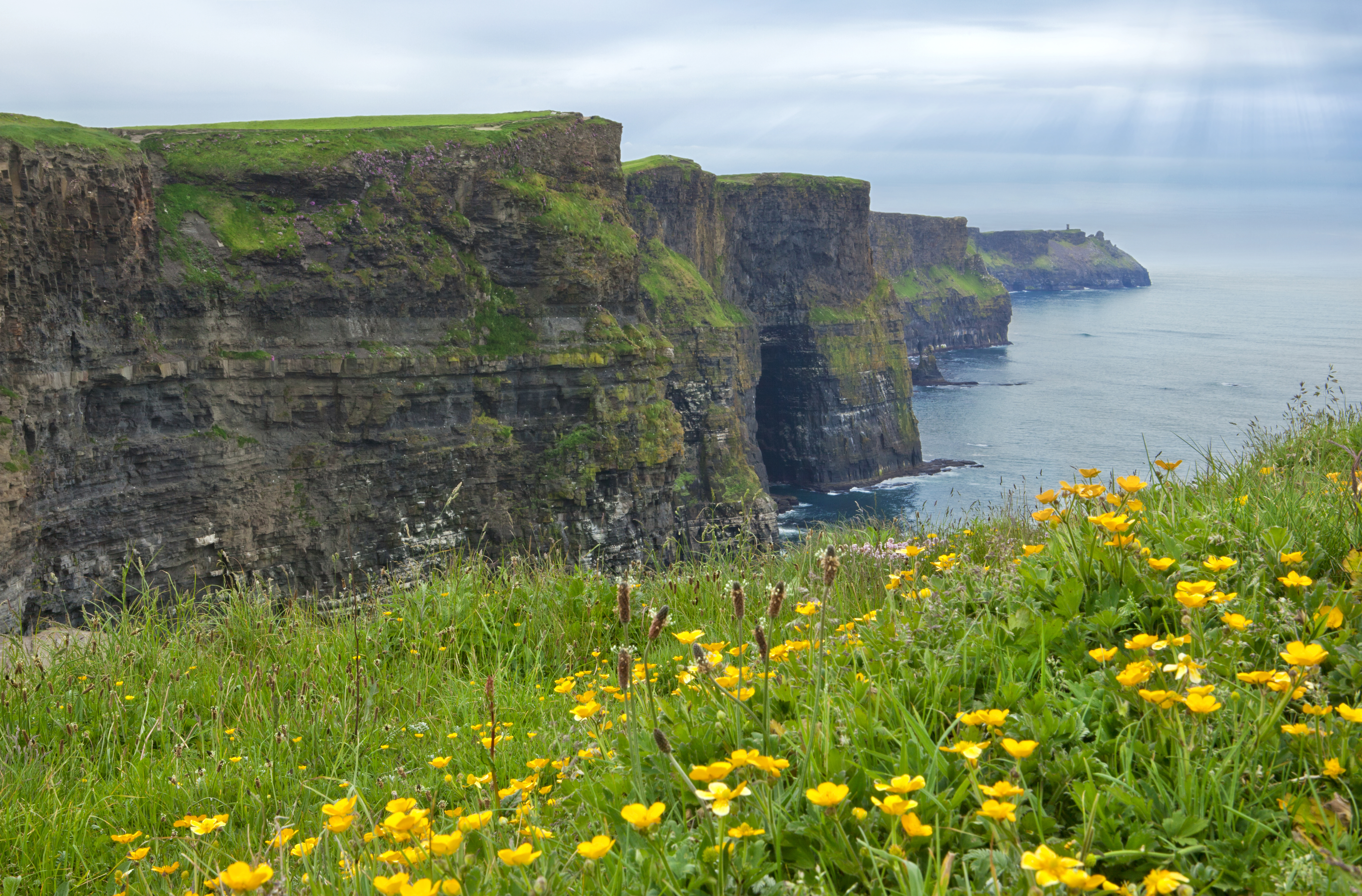 Ireland Cliffs of Moher Spring
