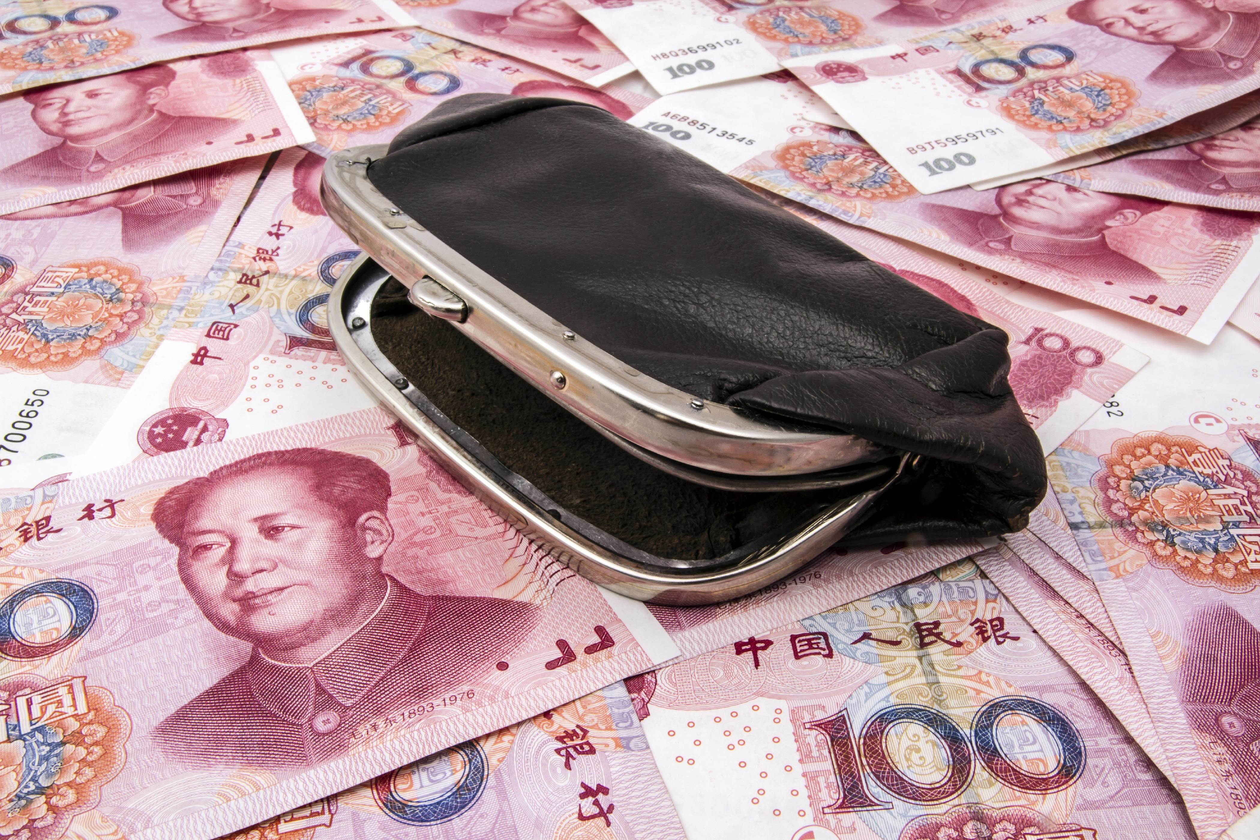 RMB money Chinese wallet