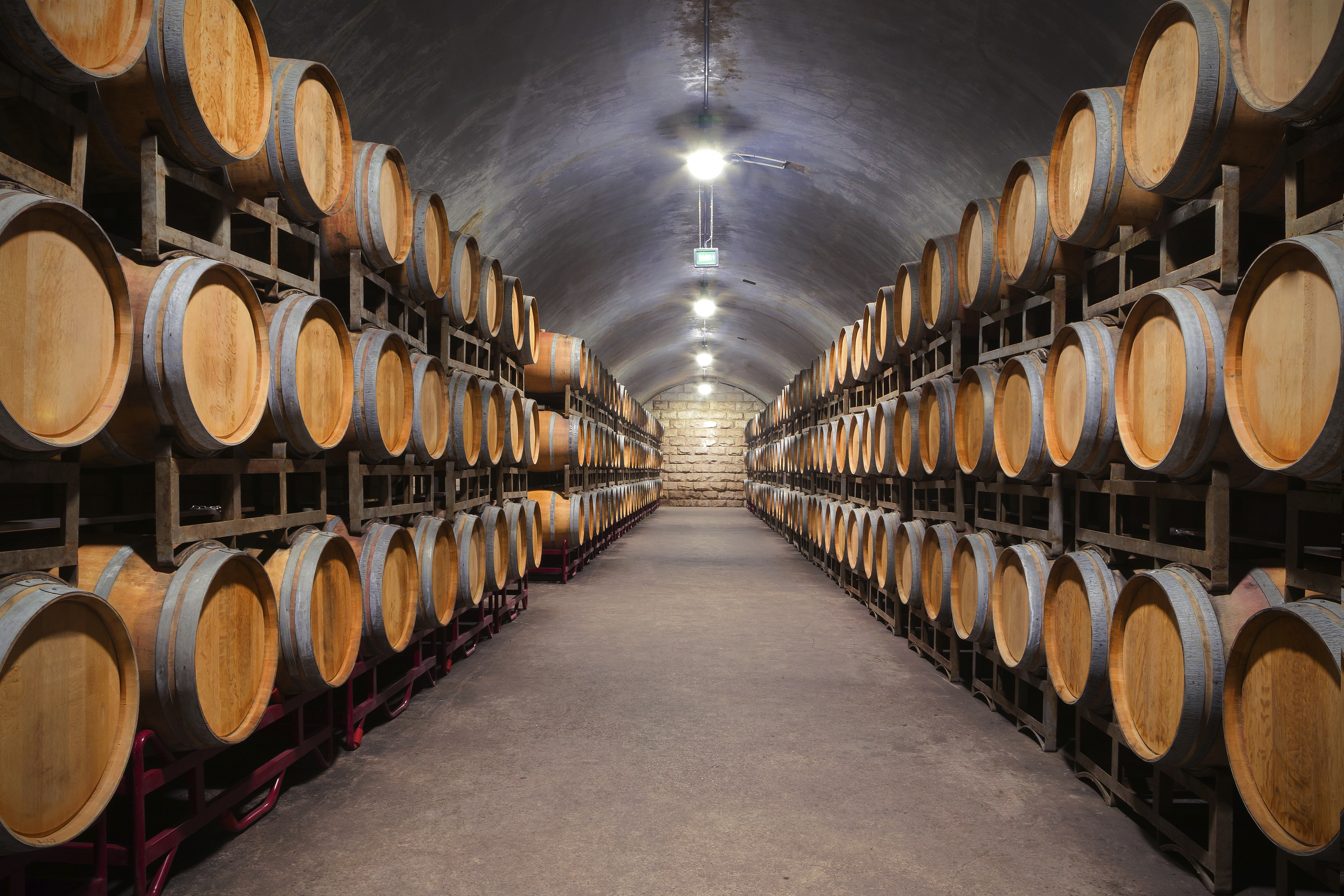 Underground wine cellar barrels