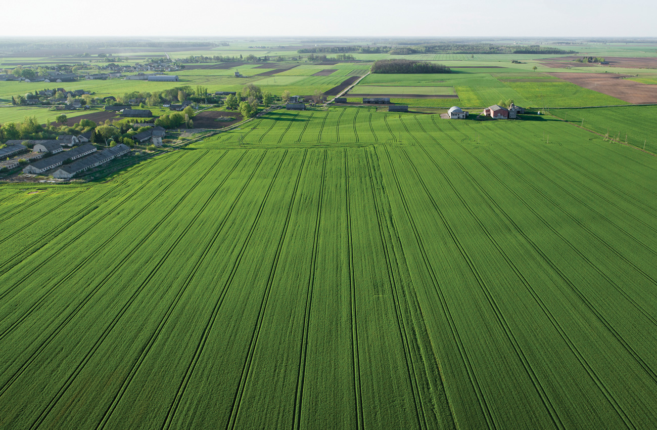 Agriculture-Sector-Report