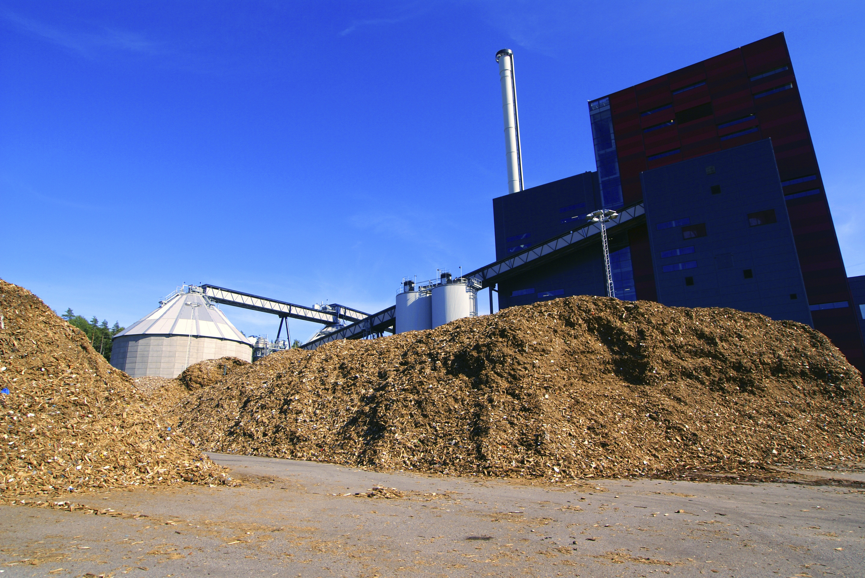 Biomass Biopower Plant Wood