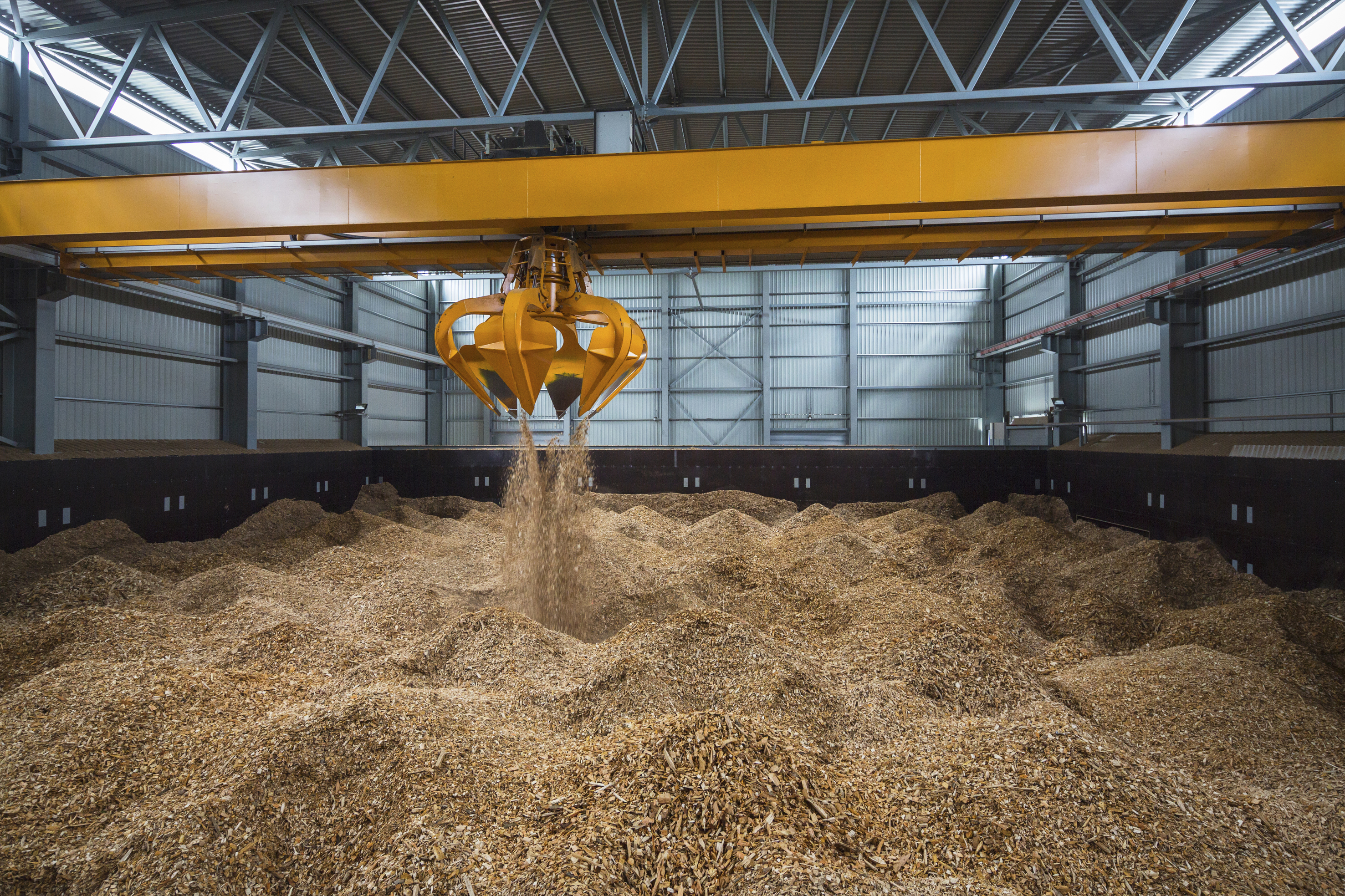 Biomass Wood Chips Storage