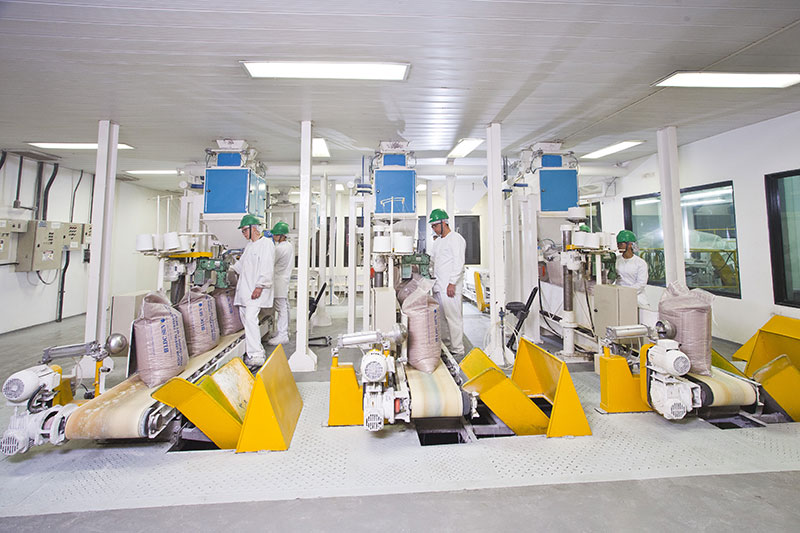 Biosev sugar processing