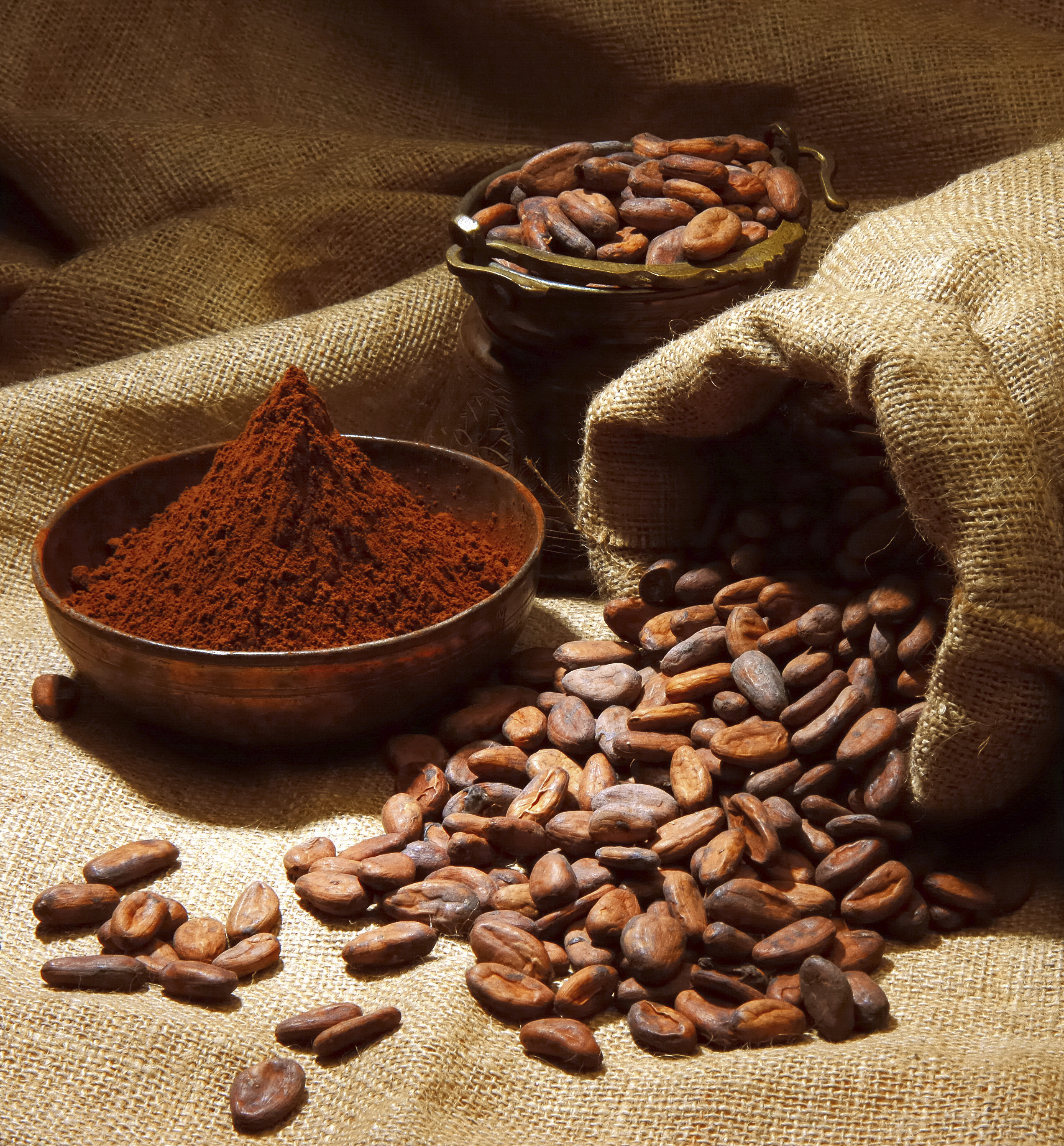 Cacao Products