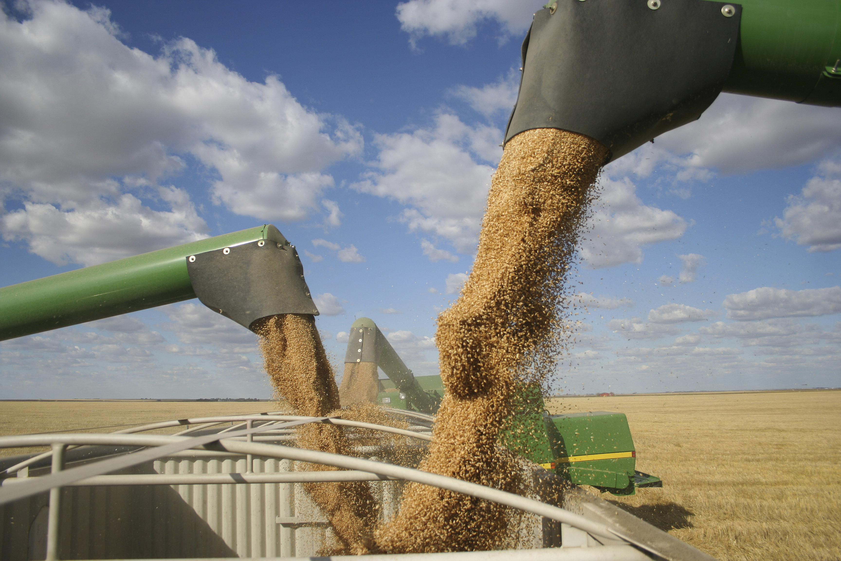 Grain Augers Harvest