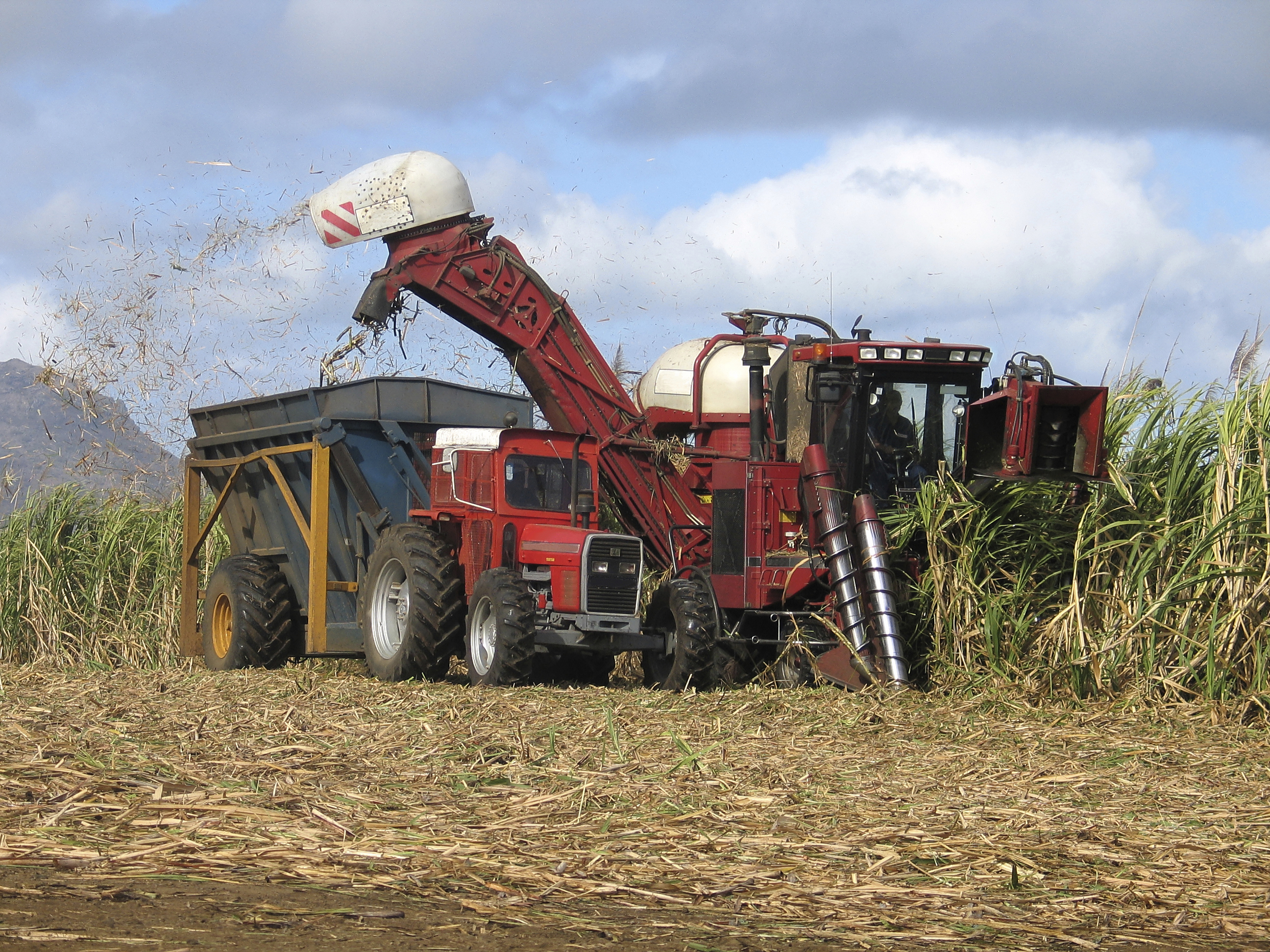Harvester Sugar Cane Agribusiness