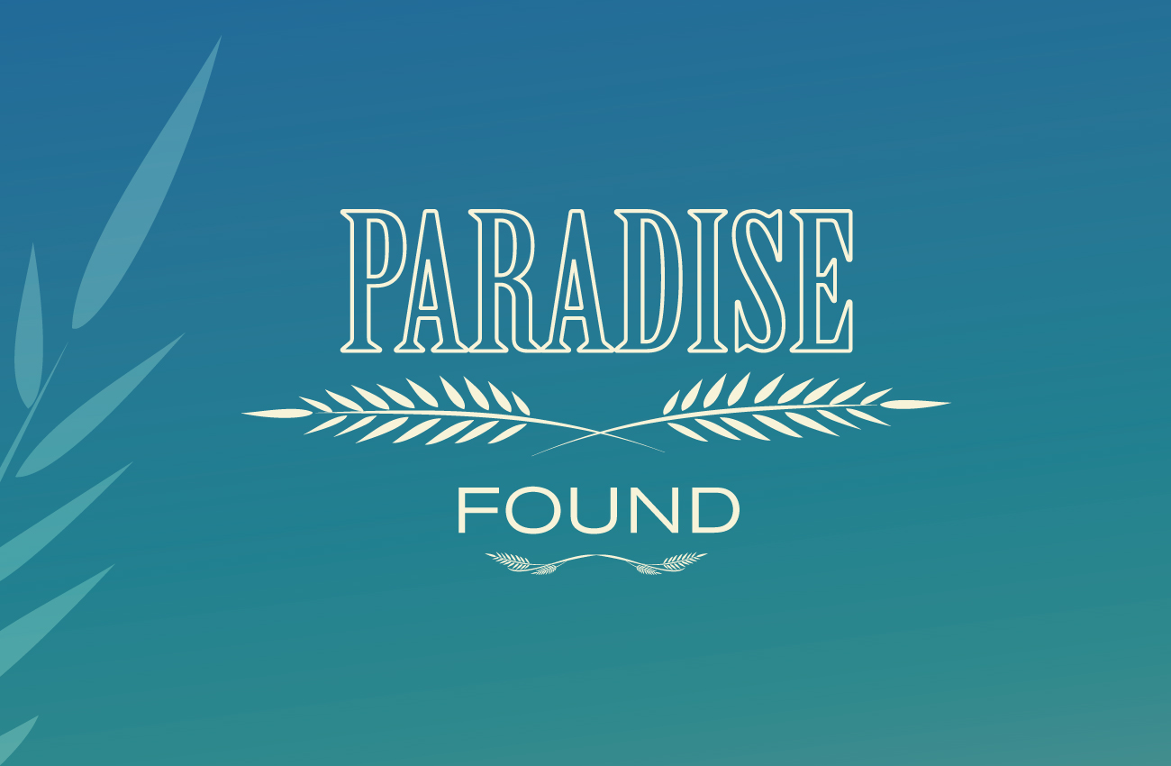 Mauritius-Country-Report_3