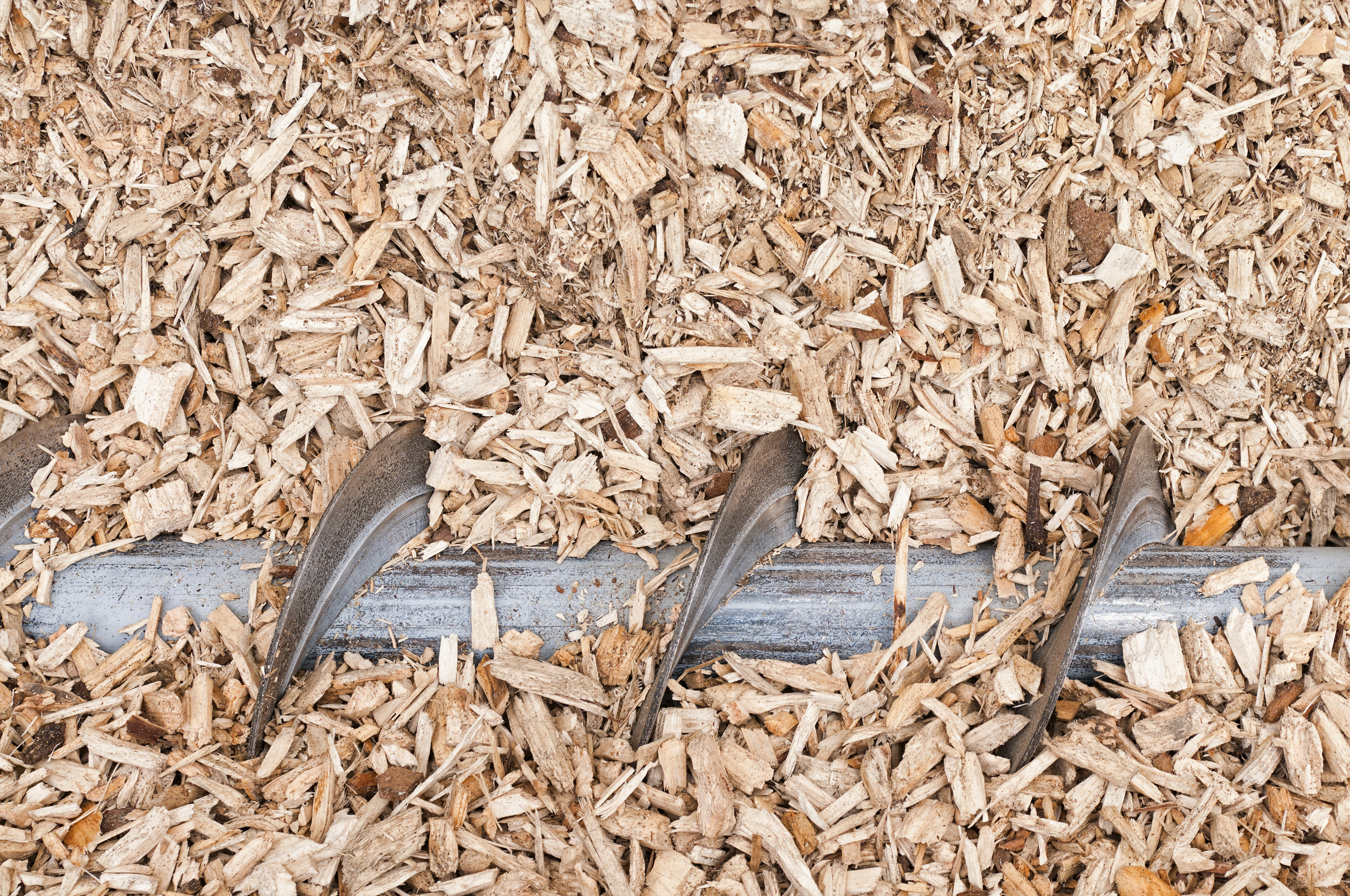 biomass