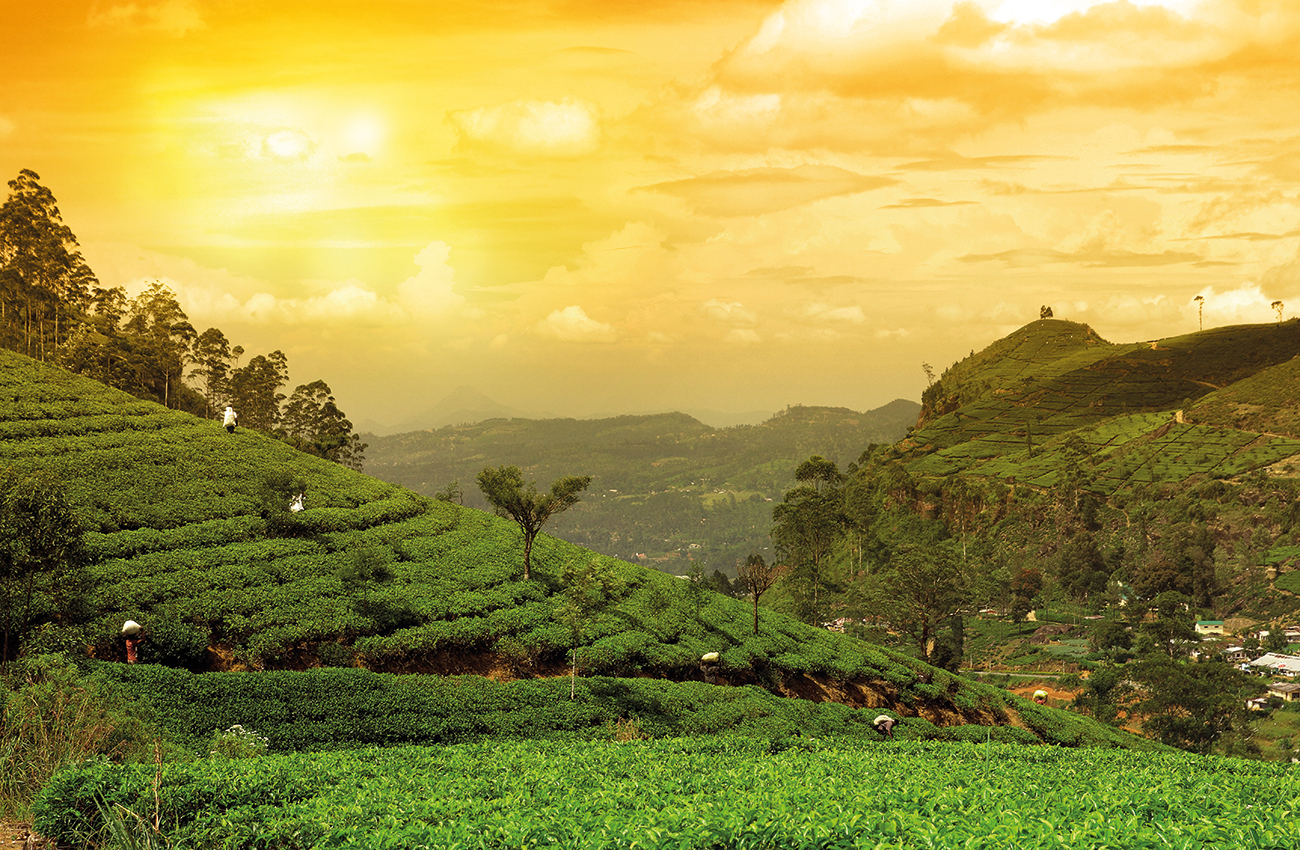 sri lanka