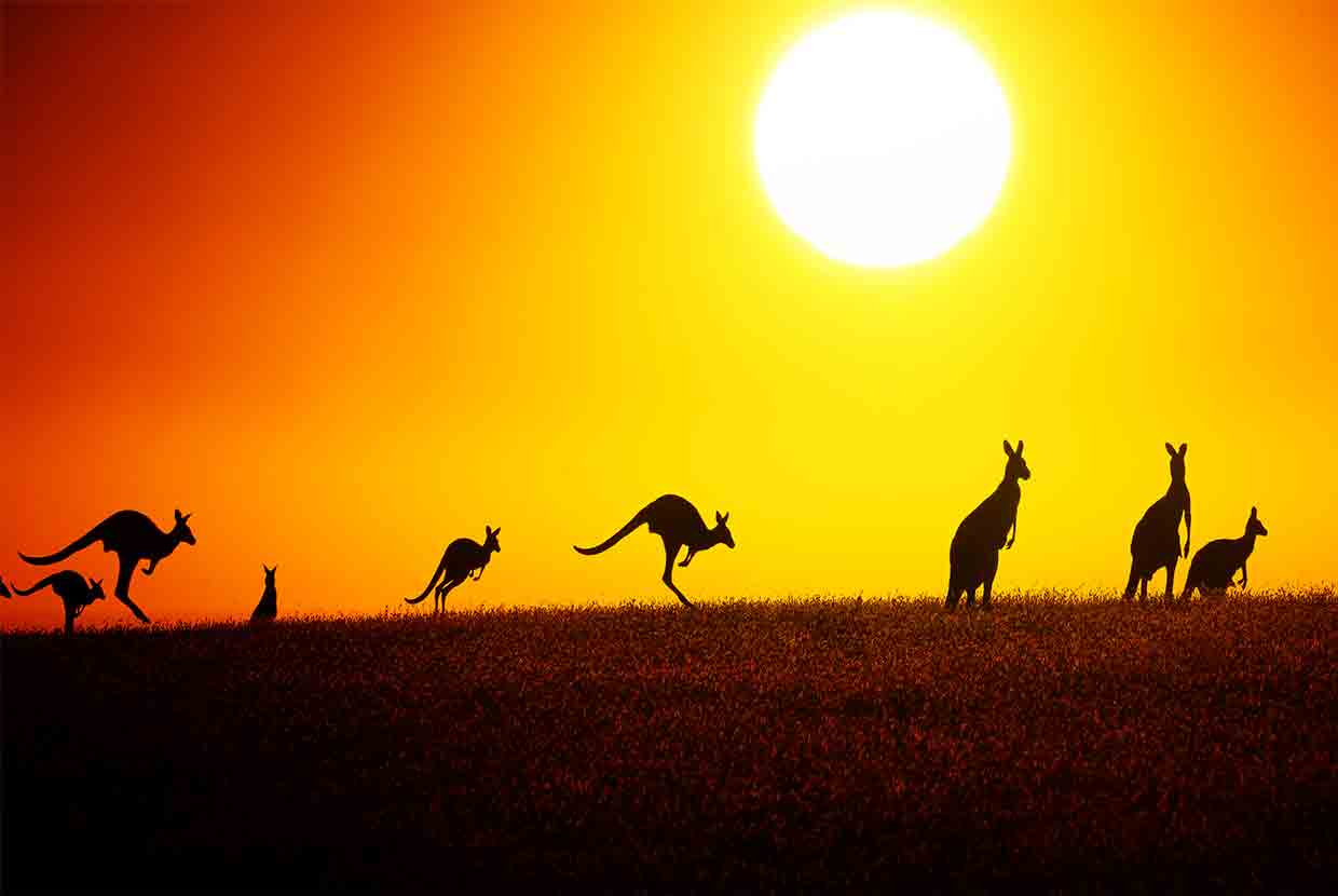 Australian solar financing